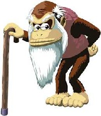 crankykong.jpg