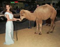 Not Joe Camel